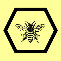 [Bee Extinction Rebellion flags]